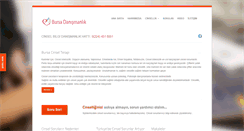 Desktop Screenshot of bursacinselterapi.com
